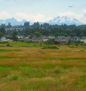Qwuloolt Estuary Restoration Project of the Tulalip Tribes - View toward Marysville and Three Fingers Mountain.